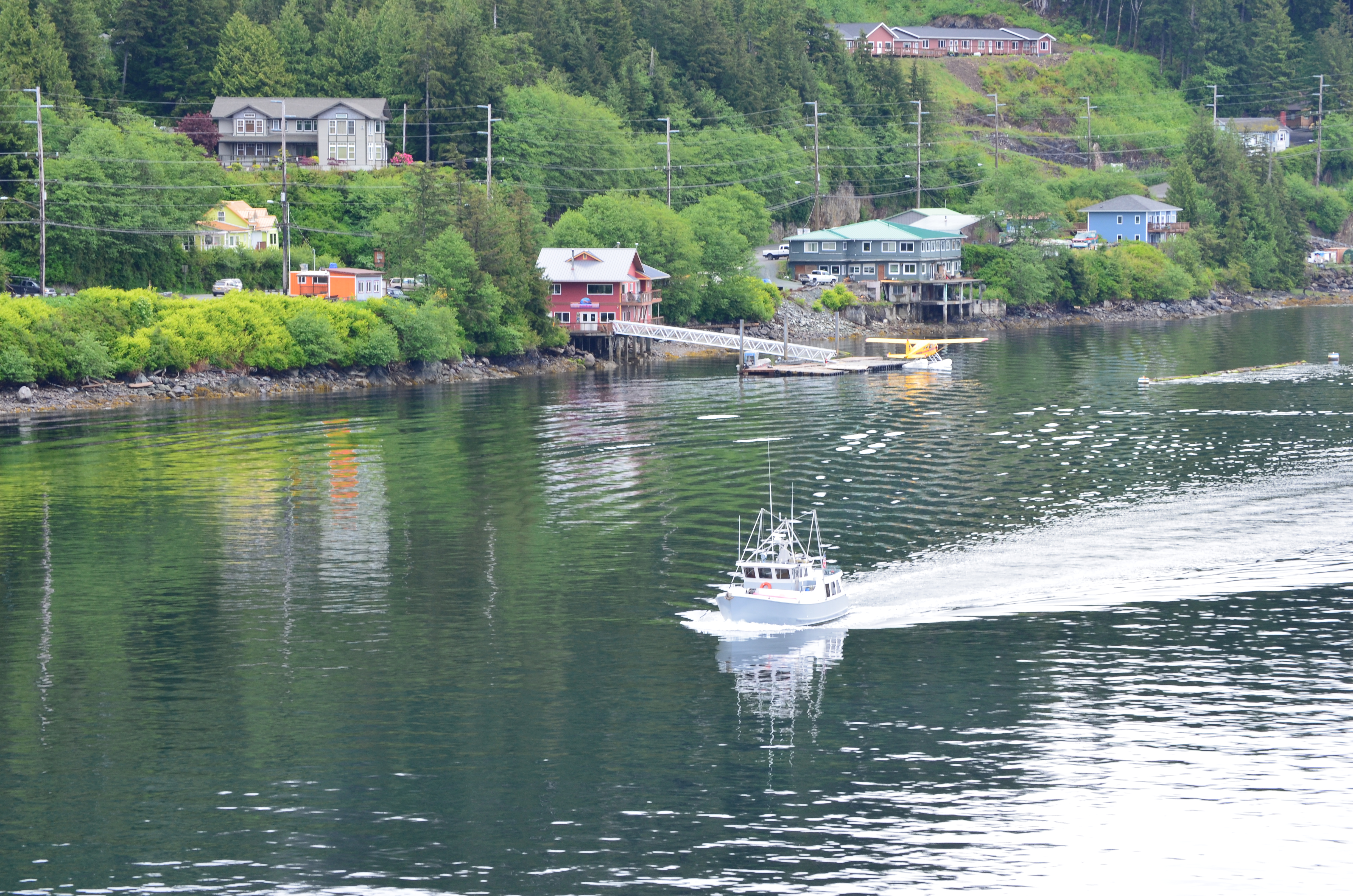 ./2017/08 - Alaska Cruise/11 - Ketchikan/DSC_0408.JPG